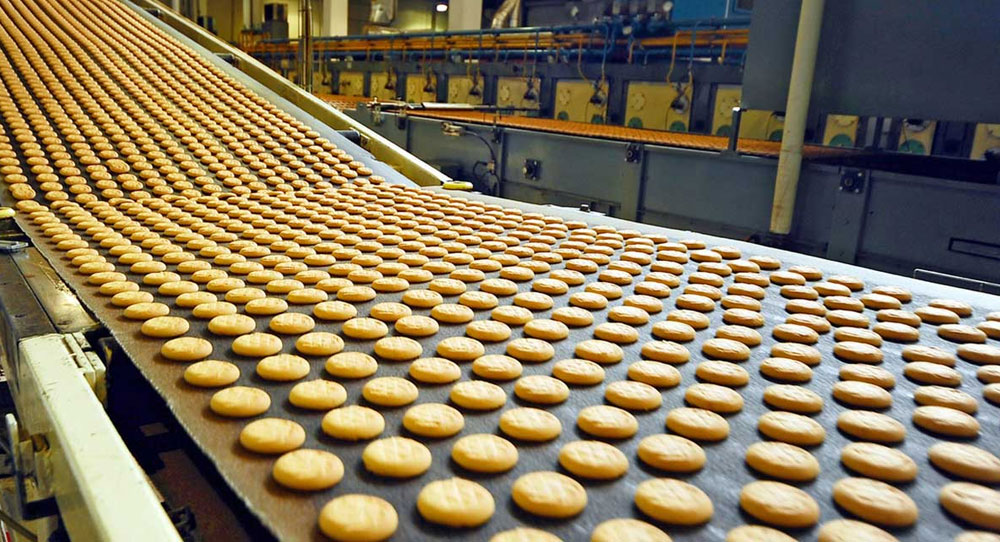 Food Processing Plant